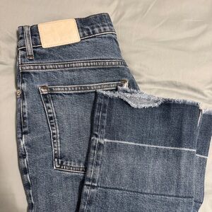Everlane The Way High Jean